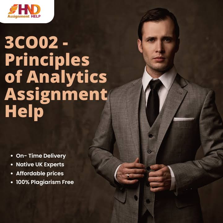3CO02- Principles of Analytics Assignment Help product image