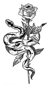 These are mostly tattoos i found on tumblr and reblogged to look at later. Tato Stiker Body Art Hitam Putih Gambar Kecil Elemen Ular Rose Bunga Air Transfer Sementara Palsu Tatto Flash Stiker Sementara Tato Aliexpress