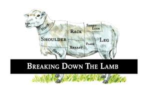 The toughest areas of the animal are the. Breaking Down The Lamb The Healthy Butcher Blog