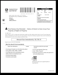 Frozen bank accounts. accessed may 5, 2020. Irs Audit Letter Cp504 Sample 1