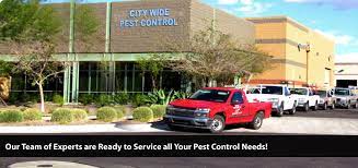 Pest control phone number in your area. City Wide Pest Control Inc