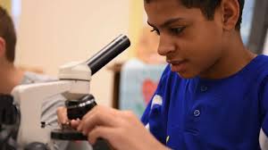 Integrating Computer Science in Middle School Science Class