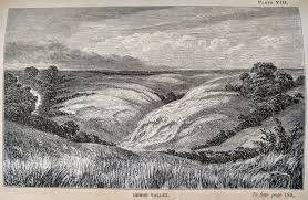 Image result for Stomatostemma monteiroae