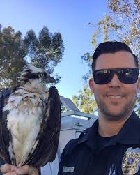In honor of “National Animal Control Officer Appreciation Week” ‪April  12-18‬, the City is giving a shout out to the dedicated officers of the  Mission Viejo Animal Services Center. First up, Officer