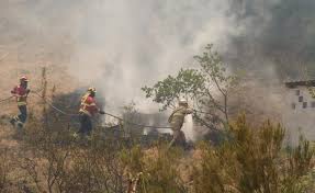 Devido ao vento, o fogo passou para o concelho de portimão, na freguesia da mexilhoeira grande, durante a tarde. Ush 8mpqub41pm