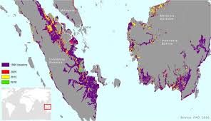 Utc+7 (12 hours ahead of washington, dc, during standard time). Extent Of Drained Organic Soils In Indonesia And Malaysia Over Time Download Scientific Diagram