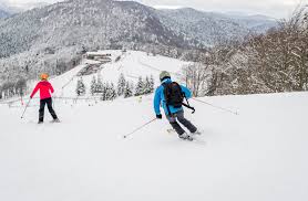 Belles filles adı kelimenin tam anlamıyla güzel kızlar anlamına gelir, ancak aslında yerel bitki yaşamından türetilmiştir. La Planche Des Belles Filles Presentation De La Planche Des Belles Filles La Station Le Domaine Skiable