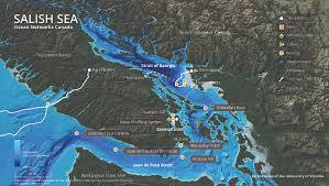 Ocean Networks Canada Wikiwand