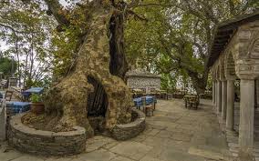 This is μακρυνιτσα αυγουστοσ 2015 by imnst.gr… Makrynitsa To Mpalkoni Toy Phlioy Briefingnews