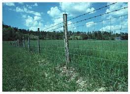 Enter values in the length calculator if fence area is reasonably regular. Estimated Costs For Livestock Fencing Ag Decision Maker
