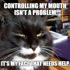 Crazy Cat Lady - I hate that!! *Reader submitted photo | Facebook