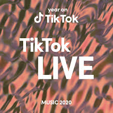 They subdivide the continuous flow of artworks through time and space into groupings. Year On Tiktok Music 2020 Tiktok Newsroom