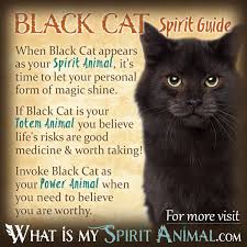 Pogumk is a native american figure that is portrayed as a black cat symbol. Black Cat Symbolism Meaning Black Cat Spirit Totem Power Animal