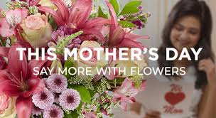 By 2050 the population of logan is expected to double. Same Day Flower Delivery In Sandy Ut 84070 By Your Ftd Florist Absolutely Flowers Inc 800 737 7009