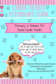 As a pet owner, you are careful to keep vaccinations up to date, provide a good diet, and smother them in love, but forgetting the importance you can also save money by going to our promotions page a grabbing a coupon for savings on a pet dental cleaning. 11 Promotions Ideas Veterinary Clinic Promotion Veterinary