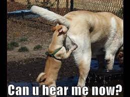 We all could use a good laugh every now and then. Top Funny Photos Topbestpics Com