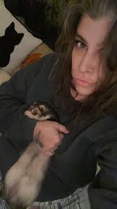 Our Fuggler of the week this week is Ritbam, my wife's Fuggler from Telford  Entertainer. Ritbam is a very tired little Fuggler that just absolutely  lives for sleep. Not a lot is