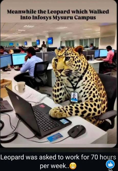 images?q=tbn:ANd9GcQ02D5JsDaHLvLzMgBURBe