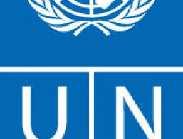 The united nations educational, scientific and cultural organization (unesco french: Unesco United Nations Educational Scientific And Cultural Organization Office Of The Secretary General S Envoy On Youth