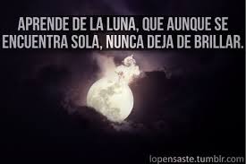 Learn From The Mood Although It Is Single It Never Ceases To Shine Quotes To Live By Wise Spanish Inspirational Quotes Some Good Quotes