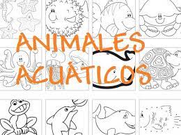 Dibujos Gratis Para Colorear Y Pintar De Animales Acuaticos Peces Pulpos Caballitos De Mar Y Mas Animales Acuat Animales Acuaticos Animales Marinos Animales