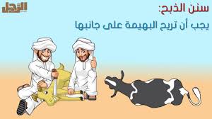شروط ذبح الاضحية في عيد الاضحى youtube