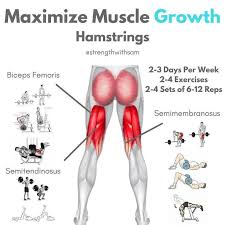 Hamstrings Workout Improve Hamstring Strength And Definition Gymguider Com Hamstring Workout Gym Workout Tips Glutes Workout
