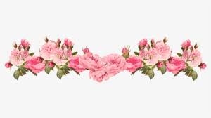 We did not find results for: Vintage Pink Free Rose Flower Bottom Border Png Transparent Png Transparent Png Image Pngitem