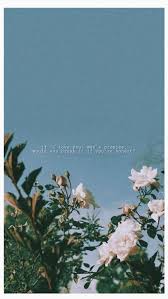 Field of barley in the summer. Vintage Quotes Wallpapers Top Free Vintage Quotes Backgrounds Wallpaperaccess