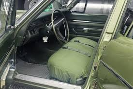 Image result for Ivy Green 1970 Satellite