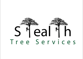 Are your trees growing out of control? Stealth Tree Services Llc Home Facebook