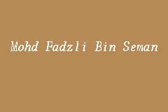 A member of the governing people's action party (pap), he was appointed as senior minister of state in the ministry for manpower and ministry for defence by prime minister lee hsien loong. Mohd Fadzli Bin Seman Advocate And Solicitor In Brickfields