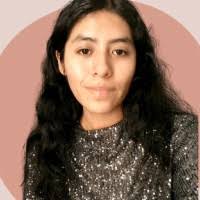 60+ "Sara Choque" profiles