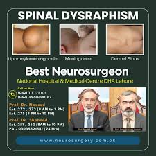 Image result for Spinal Dysraphism