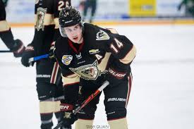 Check spelling or type a new query. West Kelowna Warriors Came Back To Edge Salmon Arm 3 2 Friday Bchl Castanet Net