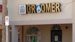 We did not find results for: Local Dog Grooming School Told To Stop Operating After News 6 Investigation
