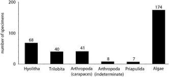 Is gray paint going out of style 2020 priapulida phylum. Soft Bodied Biota From The Middle Cambrian Drumian Rockslide Formation Mackenzie Mountains Northwestern Canada Journal Of Paleontology Cambridge Core