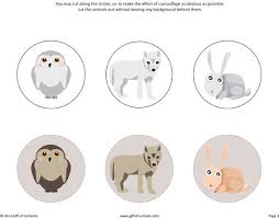 Arctic Animals Camouflage Activity Camouflage Activities Arctic Animals Arctic Animals Preschool