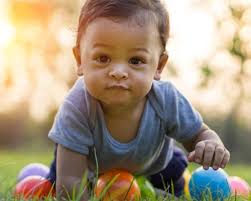 Menyusui atau formula disesuaikan adalah jenis utama dari makanan untuk bayi 5 bulan tua. Tahapan Tumbuh Kembang Bayi 7 12 Bulan
