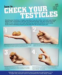 Your loved ones may want to know about the type of cancer, your treatment plan, and how well your doctor thinks you'll respond. Testicles Balls Look At Re And Pshce