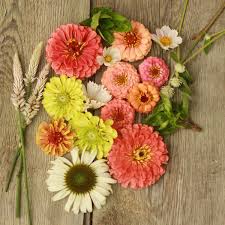 An incredibly diverse range of colors, styles, and special effects sheet glass. Belle Blooms Farm