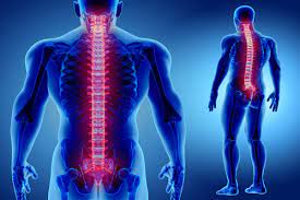 In multiple sclerosis (ms), damage to the myelin coating around nerve fibers in the central nervous system interferes with the transmission of nerve signals between the brain and spinal cord and other parts of the body. Transverse Myelitis Symptoms Causes Diagnosis Treatment Factdr