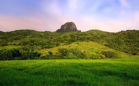 Hd Wallpaper Travel Around The World Fields Nature Windows 7 Hd Green Grass Field Wallpaper Flare A collection of the top 50 grass wallpapers and backgrounds available for download for free.