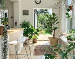 Maybe you would like to learn more about one of these? 17 Indoor Gardening Ideas How To Start Herbs Vegetables And More Plants Inside Real Homes