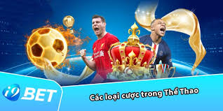 Explore Sports - Trusted and Diverse Betting Platform