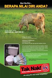 Saya yang akan belanja malam ini. Bn Lembu Kipp3k Flickr