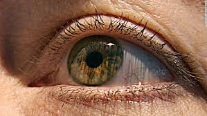 But when, why and, gulp, does it matter if you miss one or two? This Is Your Brain On Lsd Literally Cnn