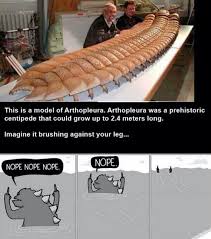 Giant Centipede From Nope Fuckthatsville Nope Funny Funny Pictures Funny Images