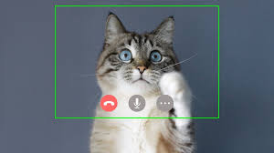He added that he walked the lawyer through how to turn it off. A Lawyer Who Appeared As A Kitten On Zoom Provides A Lesson In Emotional Intelligence Worldnewsera