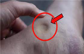 Maybe you would like to learn more about one of these? Bahaya Cuba Tekan Bahagian Atas Buku Lali Anda Jika Tenggelam Dan Lambat Timbul Ke Asalnya Bermakna Anda Berada Dalam Masalah My Info Maya